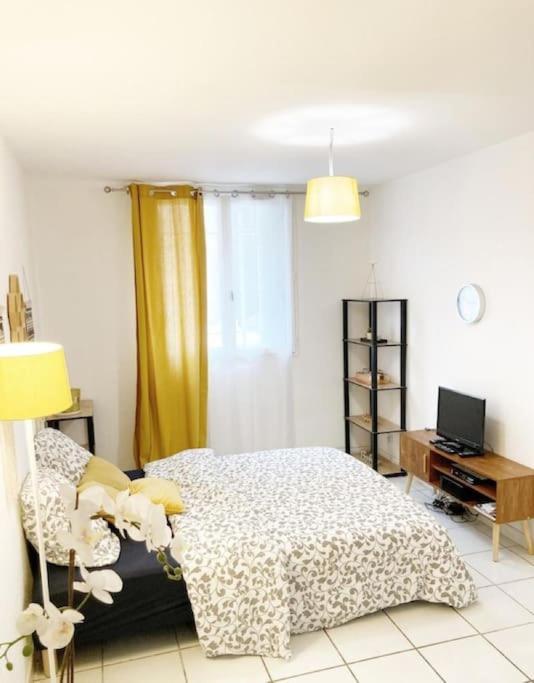 Studio A 5 Mn A Pied De La Gare Saint-Roch Montpellier Exterior foto